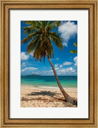 Framed Cramer Park Beach, St Croix, US Virgin Islands Print