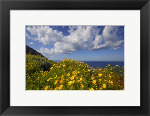 Framed Europe, Greece, Santorini Wildflowers And Ocean Landscape Print