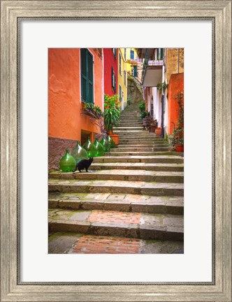 Framed Europe, Italy, Monterosso Cat On Long Stairway Print