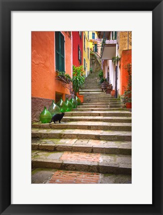 Framed Europe, Italy, Monterosso Cat On Long Stairway Print