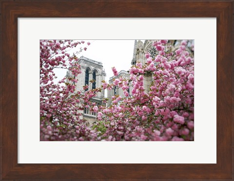 Framed Notre Dame 1 Print