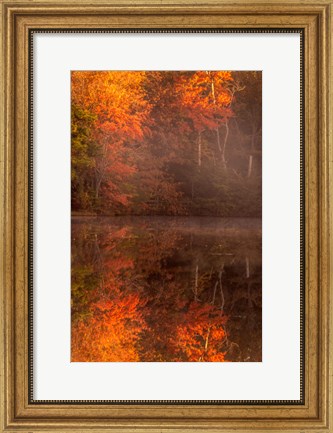 Framed New Jersey, Belleplain State Forest, Autumn Tree Reflections On Lake Print