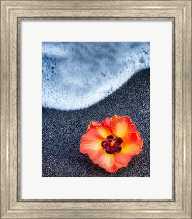 Framed Beach Floral Print