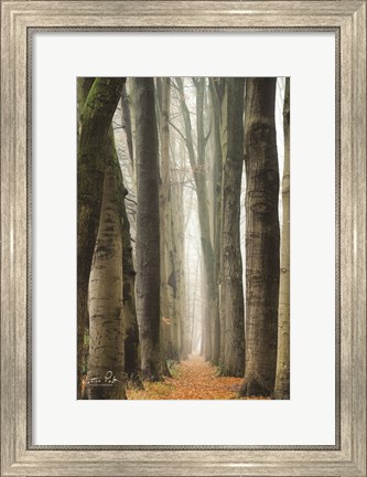 Framed Narrow Alley in the Netherlands Print