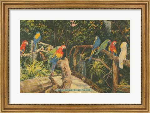 Framed Florida Postcard II Print