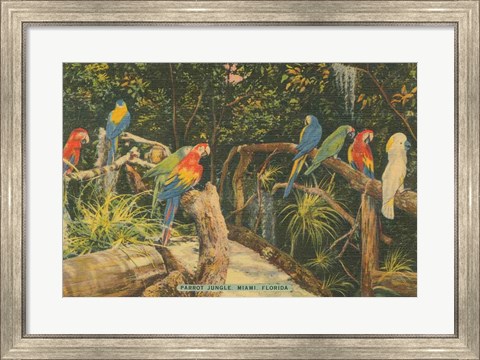 Framed Florida Postcard II Print