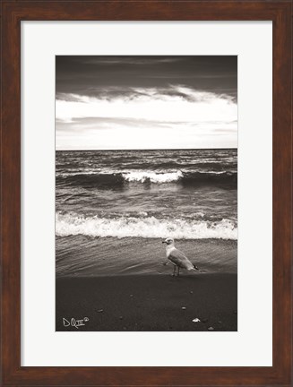 Framed Seagull II Print