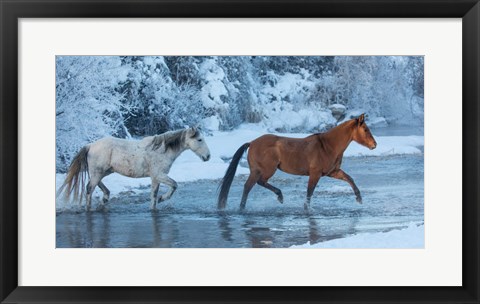 Framed Horses Crossing Shell Creek In Winter, Wyoming Print