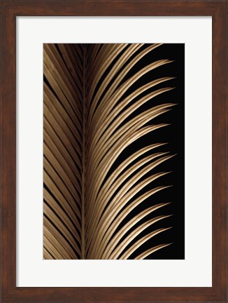 Framed Tropical Leaf Study I Print