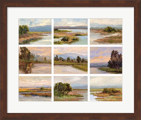 Framed Jewels of the Wetlands, Series One Print