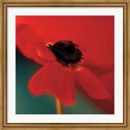Framed Red on Turquoise Print