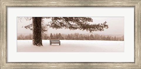Framed First Snow II Print
