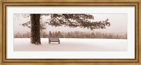 Framed First Snow II Print