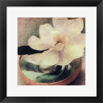 Framed Nature&#39;s Blossoms III Print