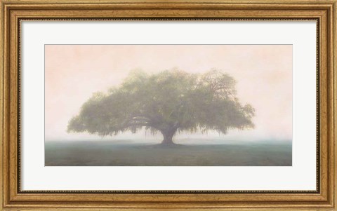 Framed Oak in the Fog Print