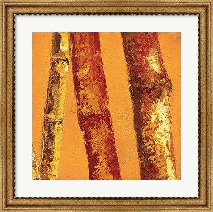 Framed Bamboo Columbia II Print