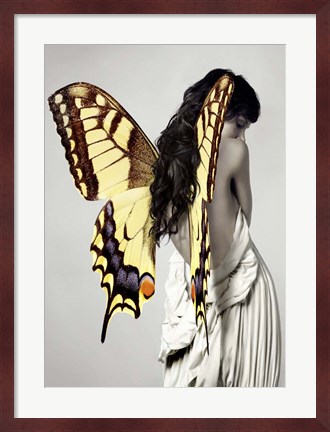 Framed Winged Beauty #3 Print