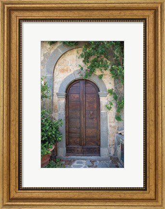 Framed Venice Doorway Print
