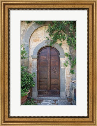 Framed Venice Doorway Print