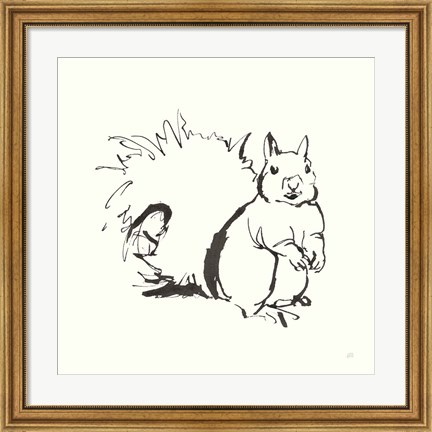 Framed Line Squirrel Print