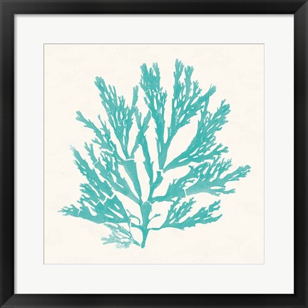 Framed Pacific Sea Mosses I Aqua Print