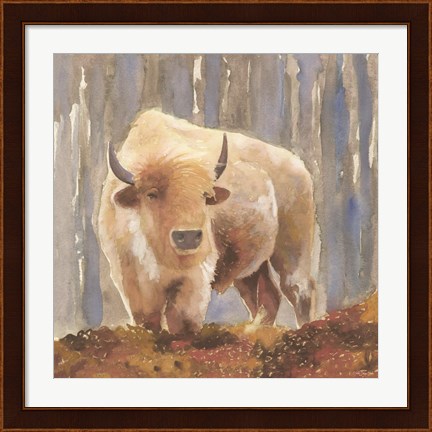 Framed White Buffalo Print