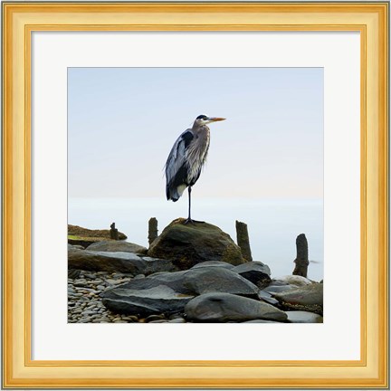 Framed Beachscape Heron I Print