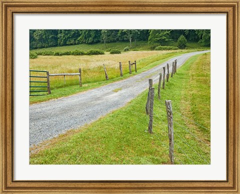 Framed Country Road Photo III Print