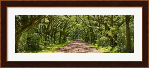 Framed Country Road Panorama IV Print