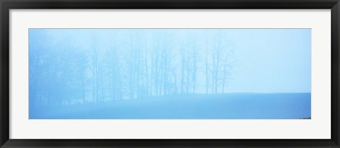Framed Tree Panorama II Print