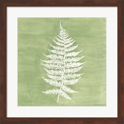 Framed Forest Ferns I Print