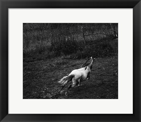 Framed Running Horse Print
