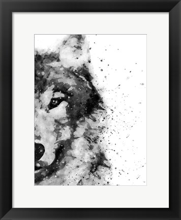 Framed Wolf At Attention Print