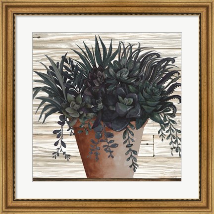 Framed Remarkable Succulents I Print