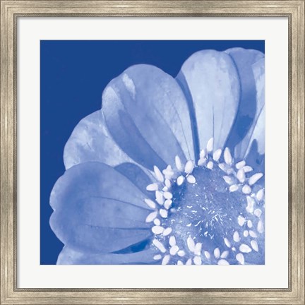 Framed Flower Pop blue I Print