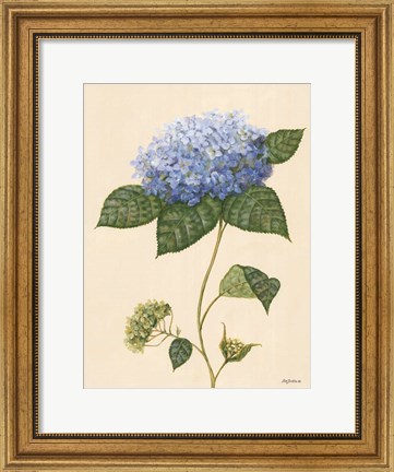 Framed Blue Hydrangea Print