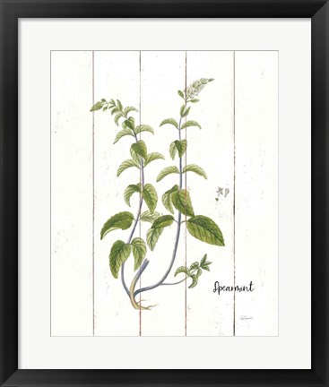 Framed Cottage Herbs IV Print