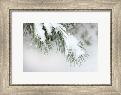 Framed Snowy Bough Print