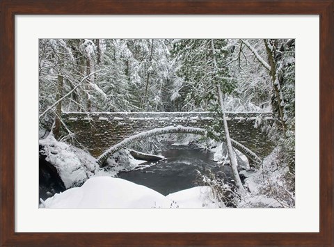 Framed Whatcom Creek Bridge Print