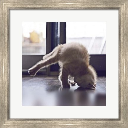 Framed Cat Yoga X Print