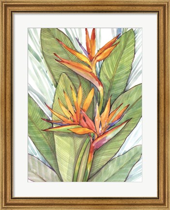 Framed Tropical Botanical Paradise I Print