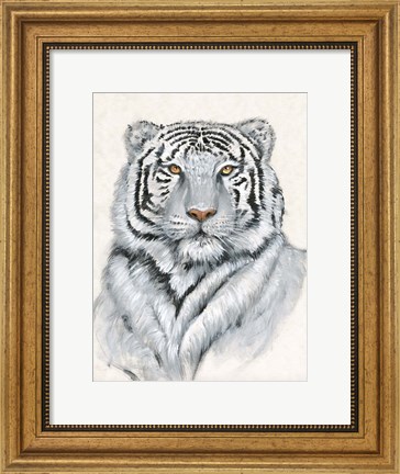 Framed White Tiger I Print