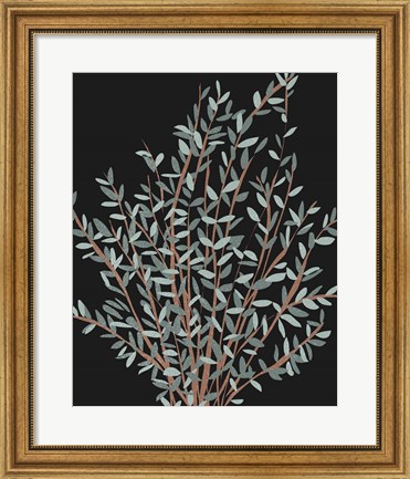 Framed Gunni Eucalyptus I Print