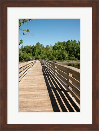 Framed Alabama, Theodore Bayou Boardwalk of the Bellingrath gardens Print
