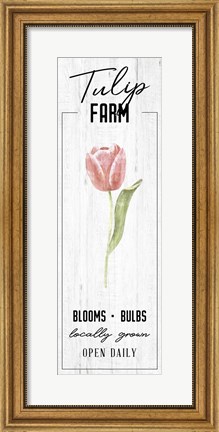 Framed Tulip Farm Print