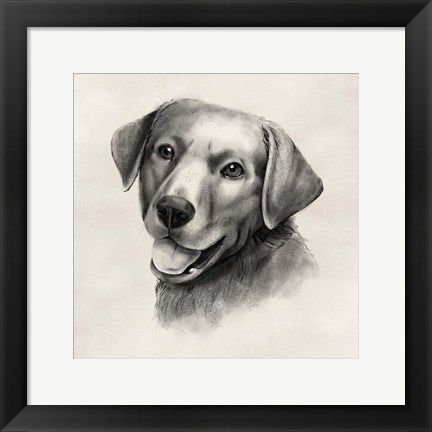 Framed Charcoal Labrador II Print