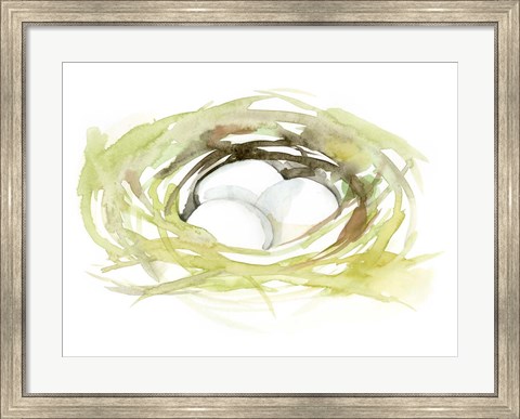 Framed Watercolor Nest II Print