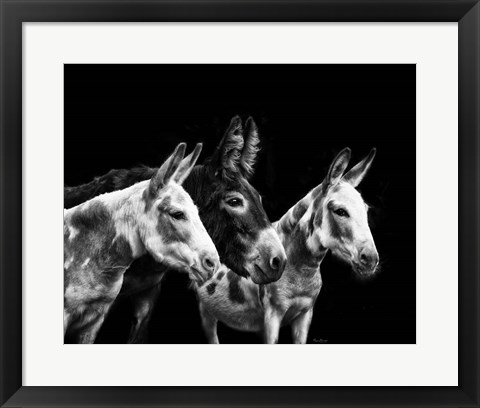 Framed Donkey Portrait II Print