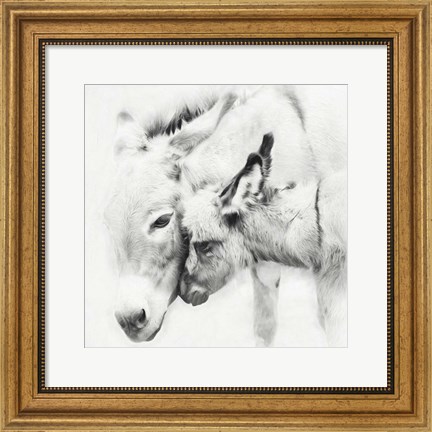Framed Donkey Portrait III Print