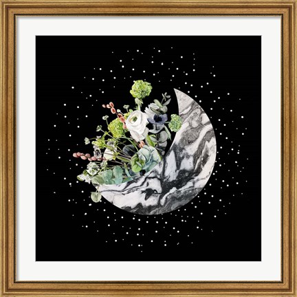 Framed Luna II Print